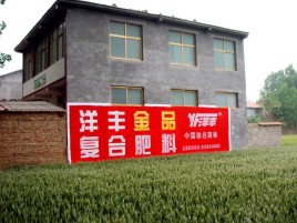 当阳如何让墙体广告展现最大化效果