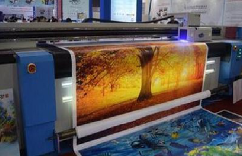 当阳写真有哪些介质？