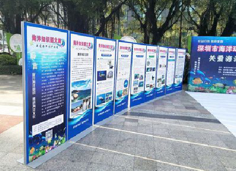 当阳KT板的种类和知识。